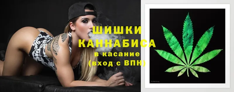 Конопля SATIVA & INDICA  гидра tor  Змеиногорск 